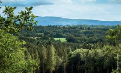 Prendre en compte la qualité de l'air et la santé publique dans les politiques publiques de mobilités en Occitanie