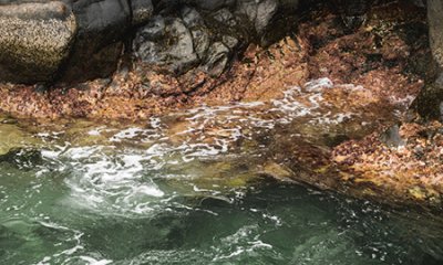illustration Renaturation de l'Hers-mort en zone péri-urbaine