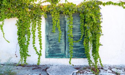 Végétalisation participative des rues du cœur de ville