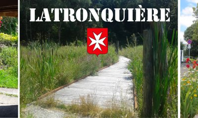 Restauration d'une zone humide