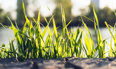 Désimperméabilisation d'un chemin