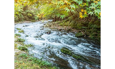 Restauration d'une zone d'expansion des crues