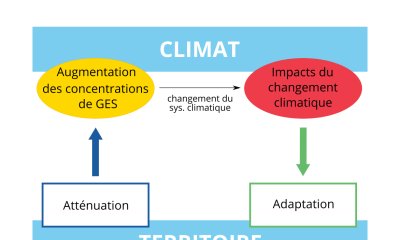 La planification territoriale pour adapter son territoire au dérèglement climatique
