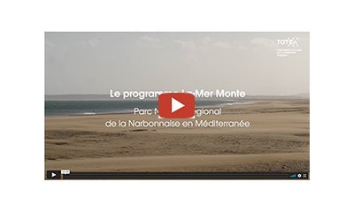 VIDEO - Le programme La Mer Monte : imaginer ensemble comment s'adapter 