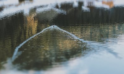 illustration Restauration écologique du cours d'eau la Baillaury