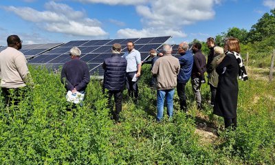 Le parc solaire Fil d'Ohm de Cieurac