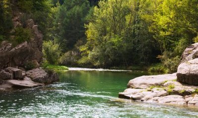 Restauration de continuité latérale de 3 grands cours d'eau (Garonne, Tarn et Aveyron)