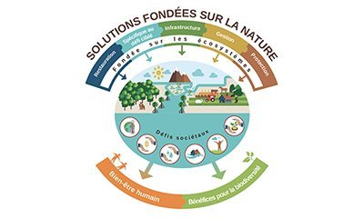 La nature, alliée des territoires pour s'adapter au changement climatique