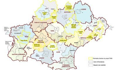 Le Programme TIMS en Occitanie : fiche d'identité des projets lauréats