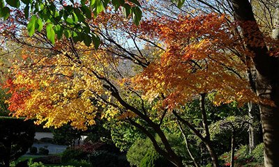 Un plan "Cap 2030" pour rafraîchir la ville avec 30 objectifs stratégiques