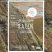 Programme S.A.LI.N : étude et adaptation face à la (…)