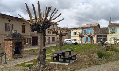Plus fraîche ma ville : accompagner les collectivités pour passer à l'action face à la surchauffe urbaine. 