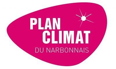 Les collectivités locales face au défi de l'adaptation : quelles solutions ?